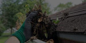 Gutter cleaning